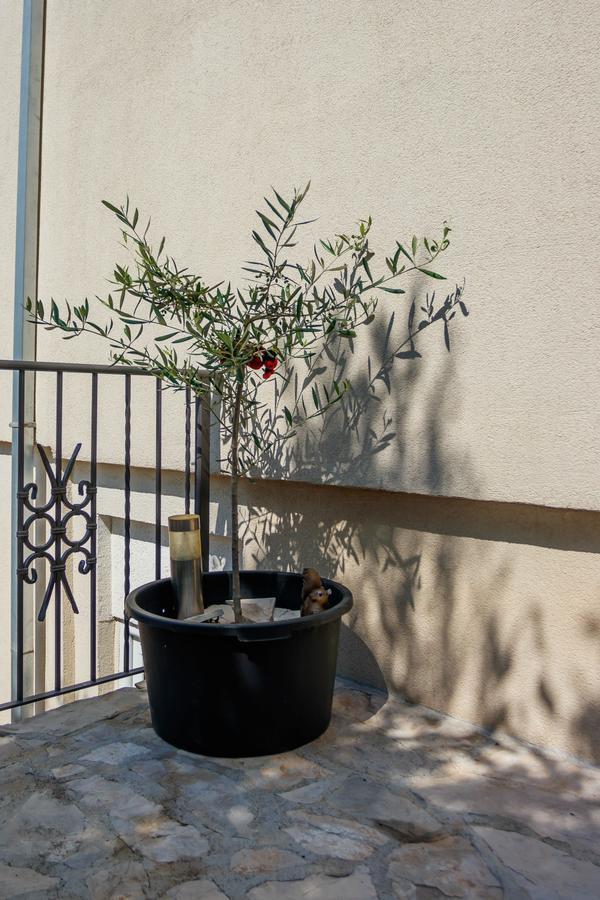 Apartmani Petar Тиват Екстериор снимка